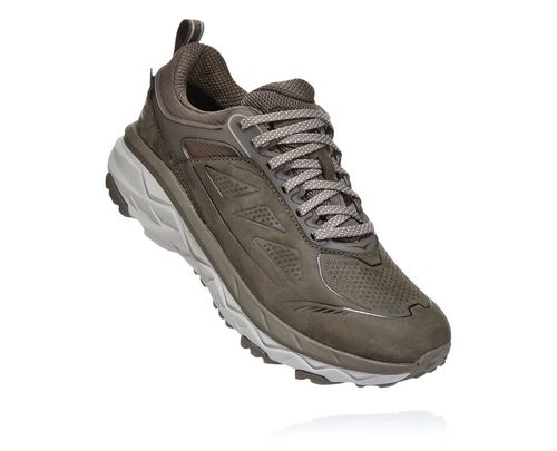 Hoka One One Dame Challenger Low Gore-tex Fjellsko Major Brown/Heather Norge-32BJL